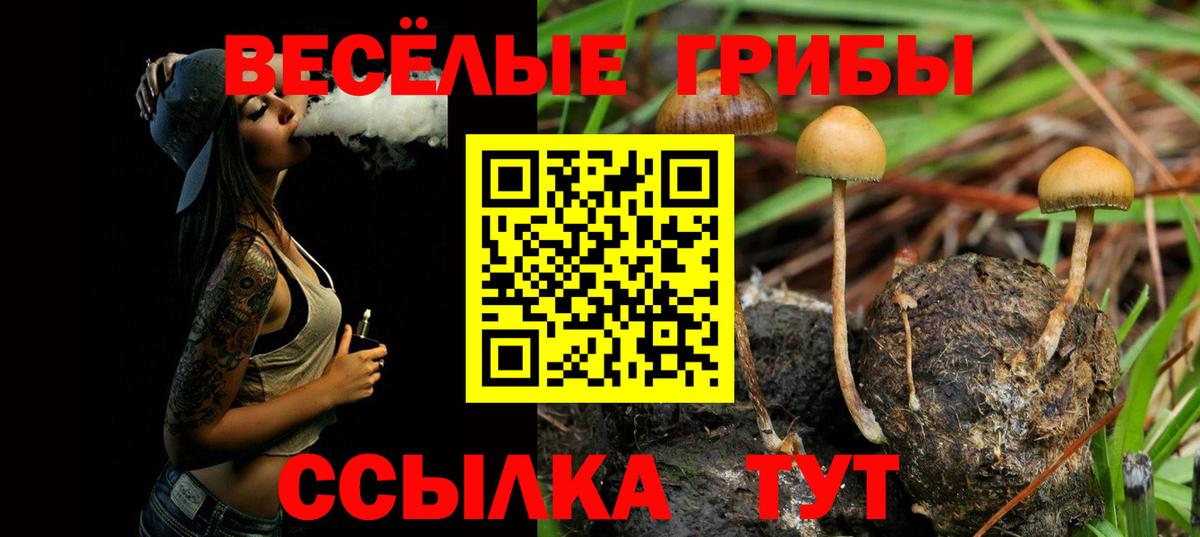 Псилоцибиновые грибы ЛСД  даркнет сайт  Ревда  Вход с VPN  Псилоцибиновые грибы мухоморы 